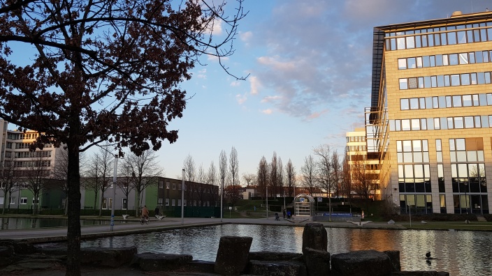 Bild von der Stelle in der Moskauer Straße, an der das TVG neu gebaut werden soll.